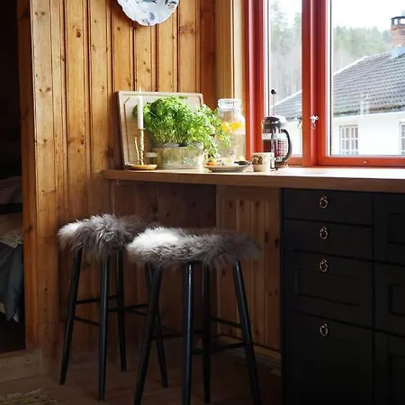 Dom wakacyjny Bolkesjo Gaard