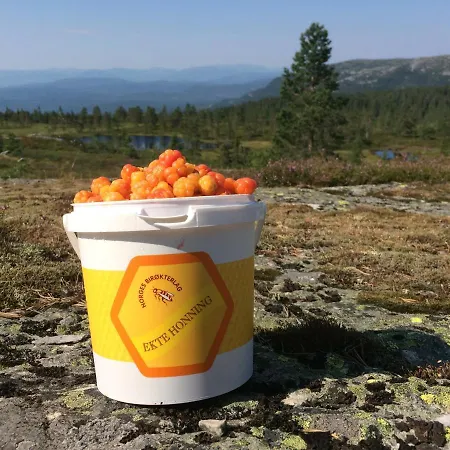 Dom wakacyjny Bolkesjo Gaard