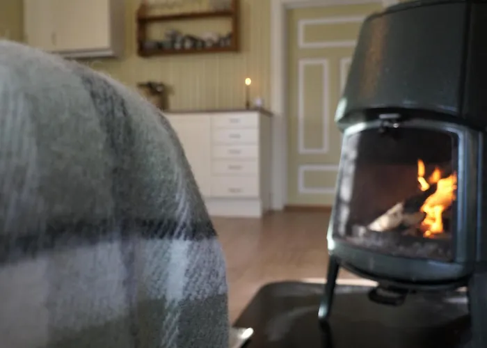 Feriehus Bolkesjo Gaard Notodden