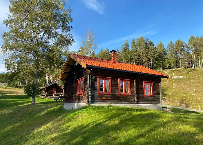 Feriehus Bolkesjo Gaard Notodden